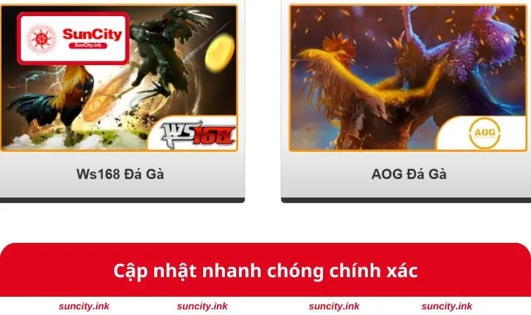Cập nhật nhanh chóng chính xác
