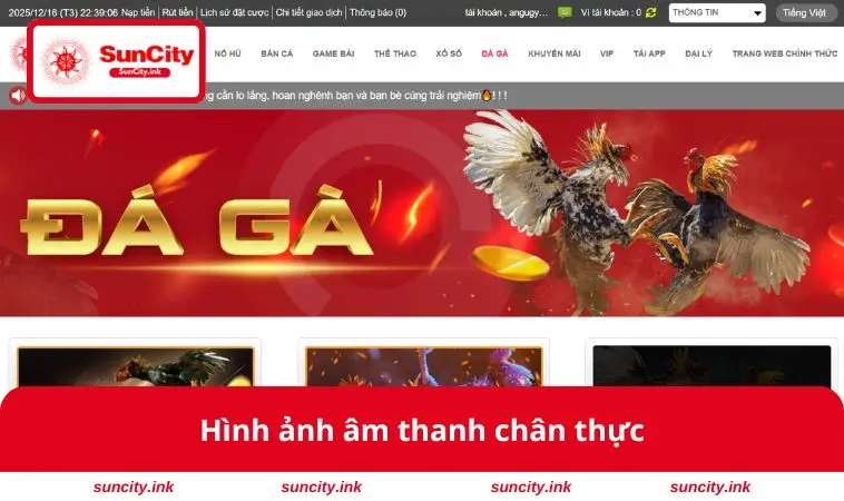 Hình ảnh âm thanh chân thực