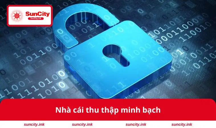 Nhà cái thu thập minh bạch