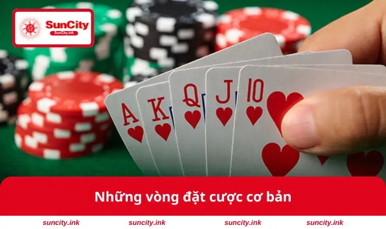 Những vòng đặt cược cơ bản
